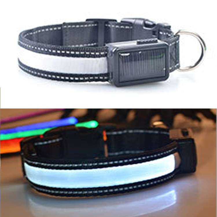 Medium and Large Dog Pet Solar + USB Charging LED Light Collar, Neck Circumference Size: L, 50-60cm(
