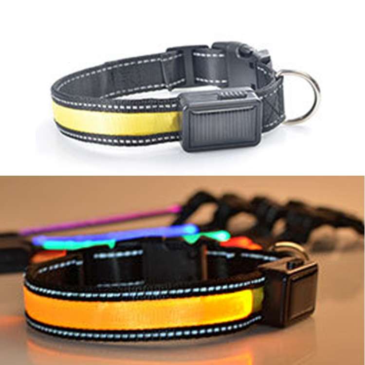 Medium and Large Dog Pet Solar + USB Charging LED Light Collar, Neck Circumference Size: L, 50-60cm(