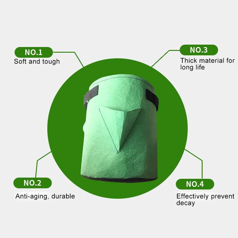 3 Pockets 18L / 5 Gallon Non-woven Felt Strawberry Planting Bag, Size: 23X28cm(Green)