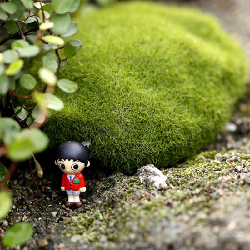 10 PCS Mini Small Fence Barrier Wooden Craft Wooden Small Fence Moss Micro-landscape Ornaments, Rand
