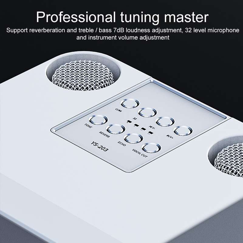 YS-203 Bluetooth Karaoke Speaker Wireless Microphone(Black)