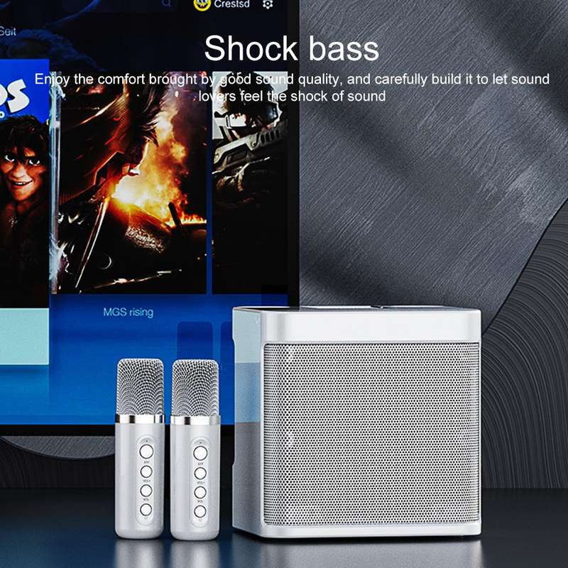 YS-203 Bluetooth Karaoke Speaker Wireless Microphone(Black)