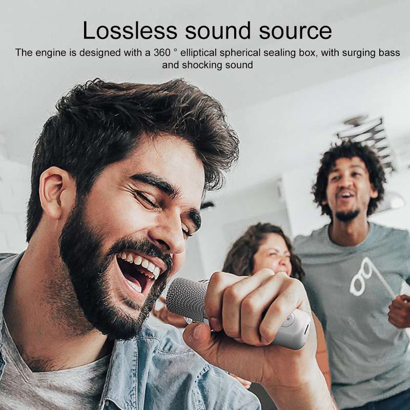 YS-203 Bluetooth Karaoke Speaker Wireless Microphone(Black)