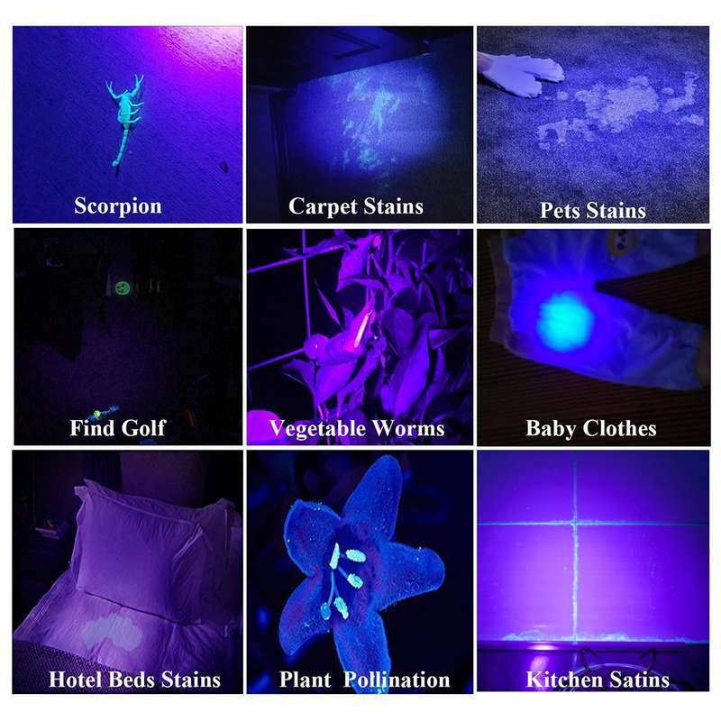 100 LED UV Flashlight Scorpion Detector Fluorescence Detector