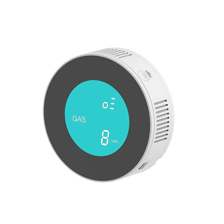 PA-209R Wireless Gas Detection Alarm, AC 100-240V