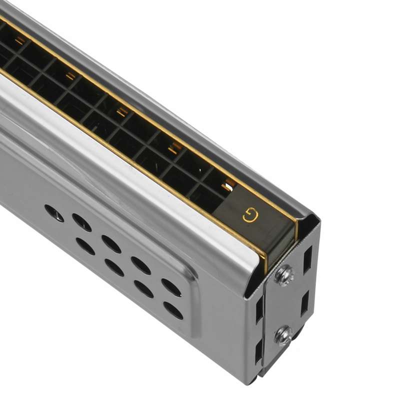 Swan SW24-12A 24-holes Double-sided Harmonica Beginner Polyphony Box Adult Children Beginners Perfor