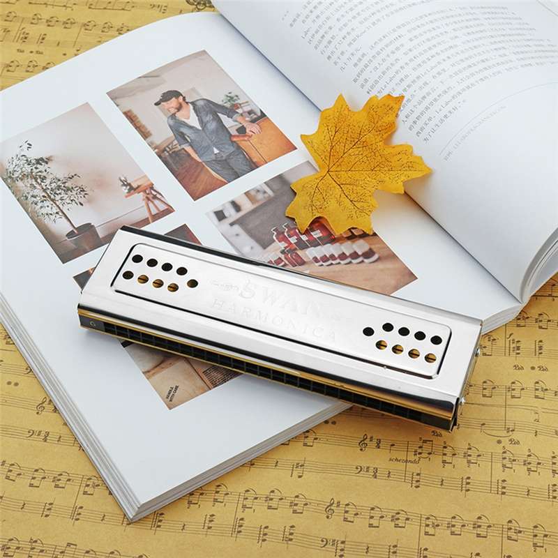 Swan SW24-12A 24-holes Double-sided Harmonica Beginner Polyphony Box Adult Children Beginners Perfor