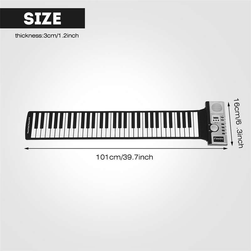 Swan 24-holes Polyphonic Harmonica Beginner Children Adult Students Playing Musical Instruments