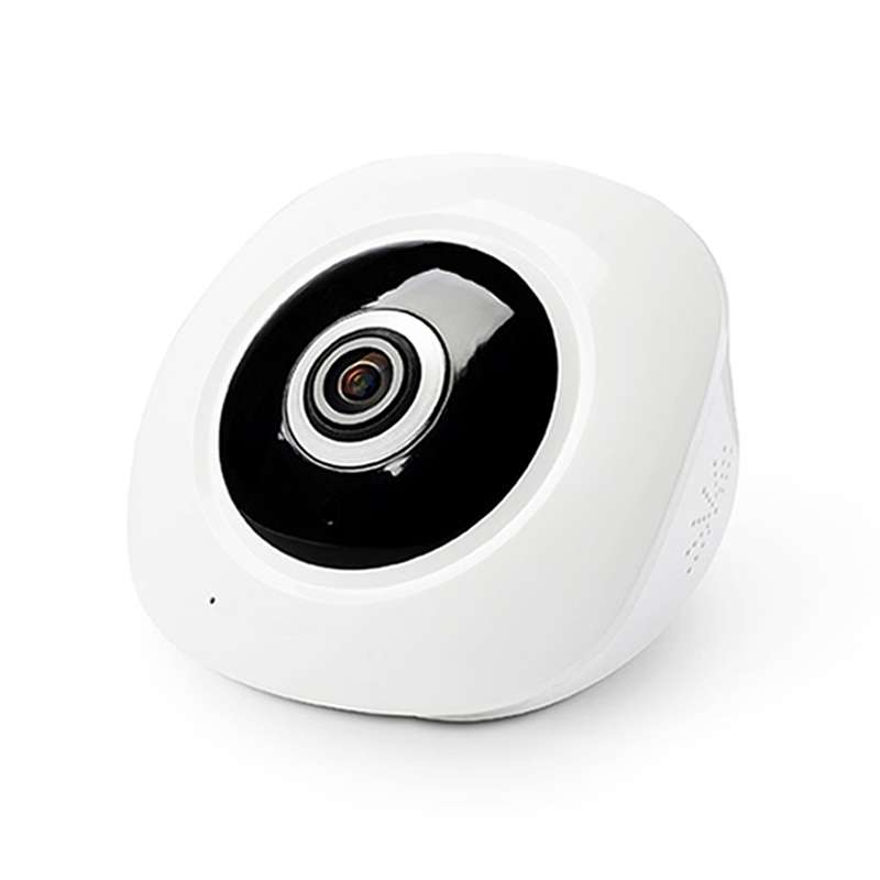 DTS-F3 1.44mm Lens 1.3 Megapixel 360 Degree Infrared IP Camera, Support Motion Detection & E-mail A