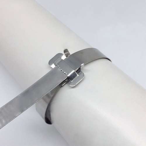 100 PCS 12.7mm 304 Stainless Steel Tie Lock Type Cable Wrapped Bundle Buckle