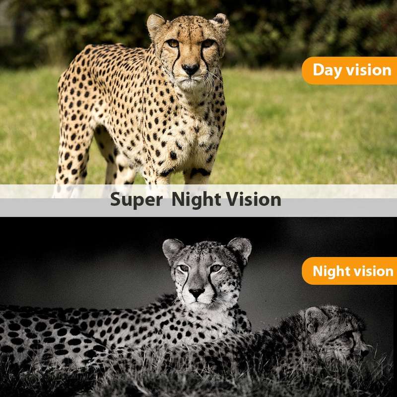 HC801LTE 4G EU Version Waterproof IP65 IR Night Vision Security 16MP Hunting Trail Camera, 120 Degre