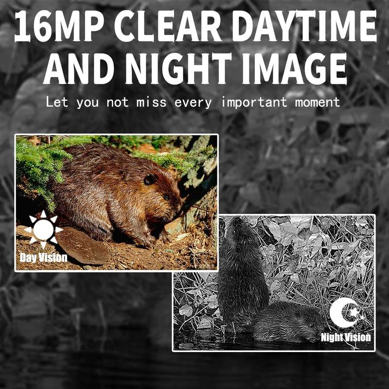 PR300 Outdoor Night Vision Hunting Tracking Camera 12MP Motion Activated