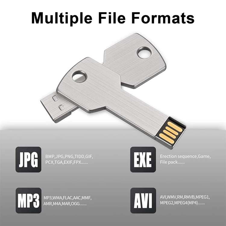 8GB Key USB Flash Disk