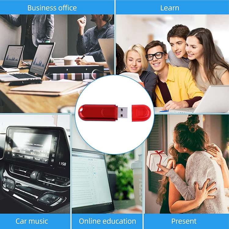 2GB USB Flash Disk(Red)