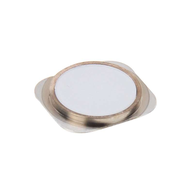 Front Screen Outer Glass Lens for iPhone 6s & 6(White)