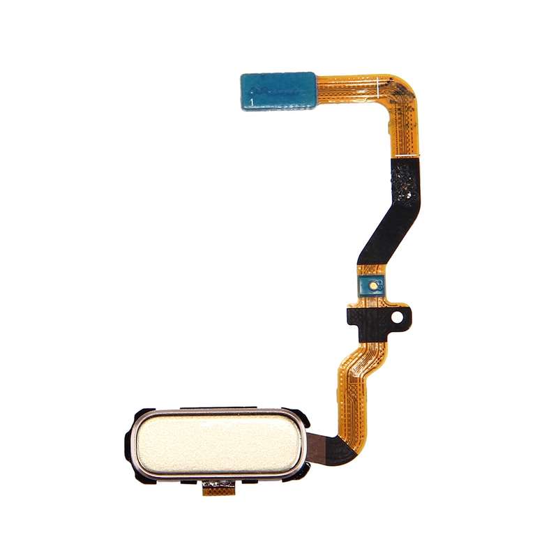 For Galaxy S7 / G930 Home Button Flex Cable(White)