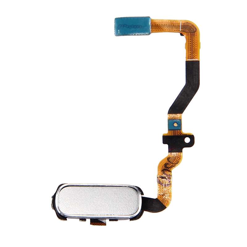 For Galaxy S7 / G930 Home Button Flex Cable(White)