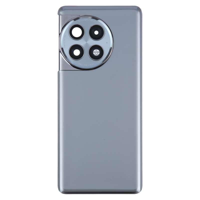 For OnePlus Ace 2 Pro PJA110 Original Glass Battery Back Cover with Camera Lens(Green)