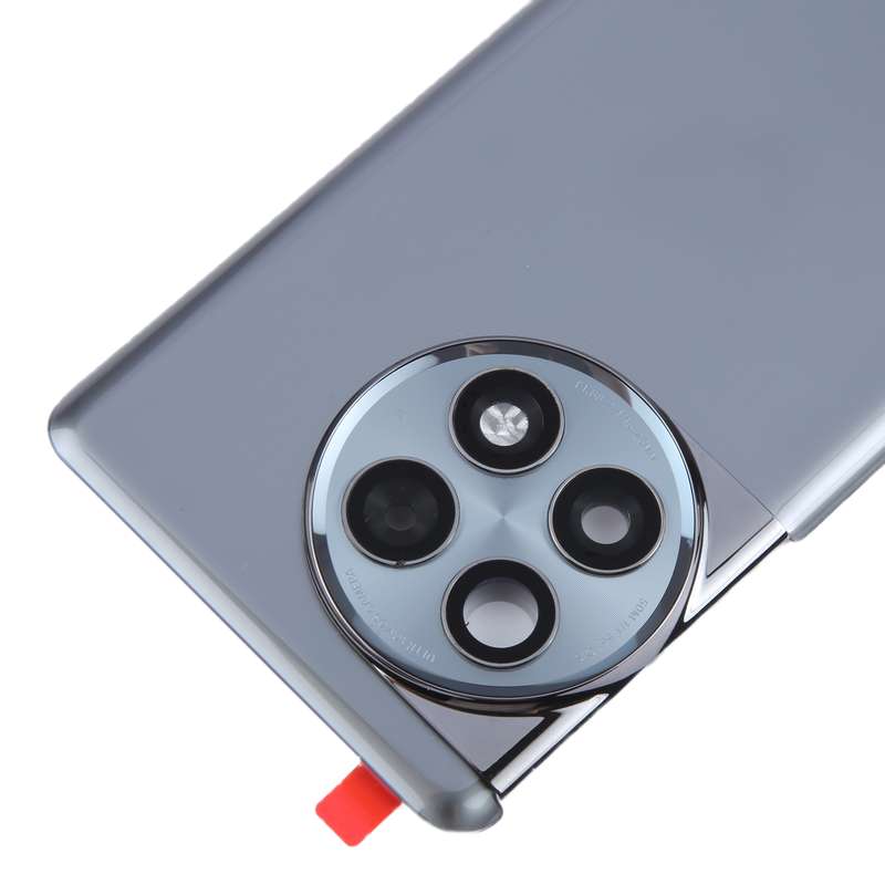 For OnePlus Ace 2 Pro PJA110 Original Glass Battery Back Cover with Camera Lens(Green)