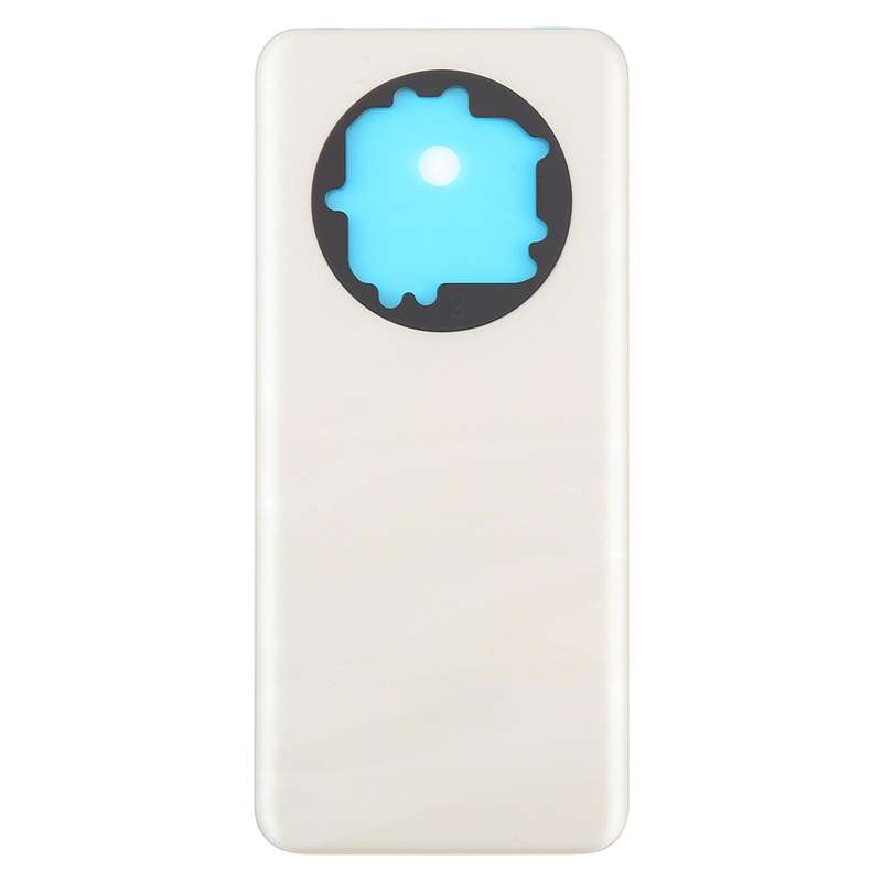 For Realme 13 Pro+ Back Cover(Gold)