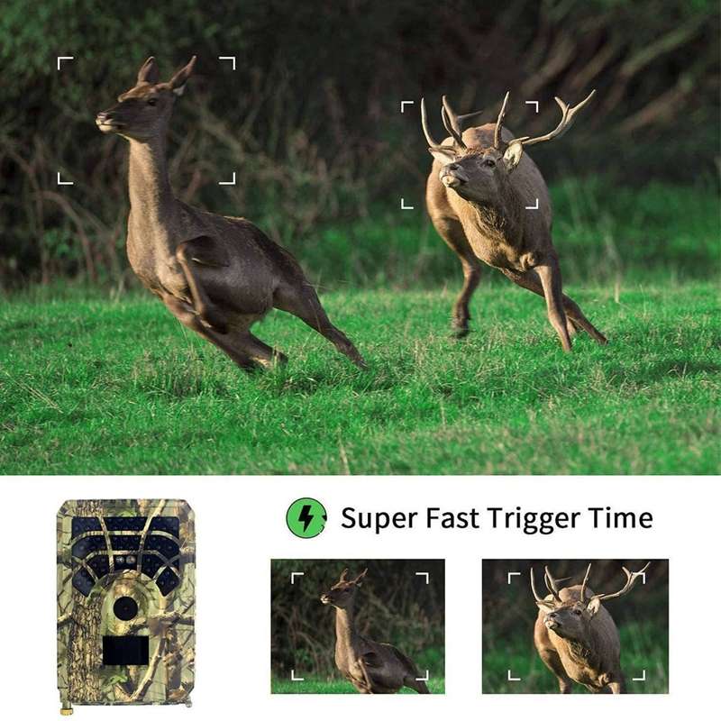 S880 Field Hunting Surveillance Camera, 2560x1920 Pixel, Low Battery, Night Vision, Wide Angle, Auto
