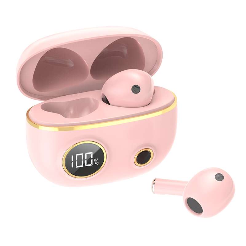 PRO100 TWS Bluetooth 5.2 Noise Canceling Waterproof Earphones 9D Stereo Sports Headphone with Chargi