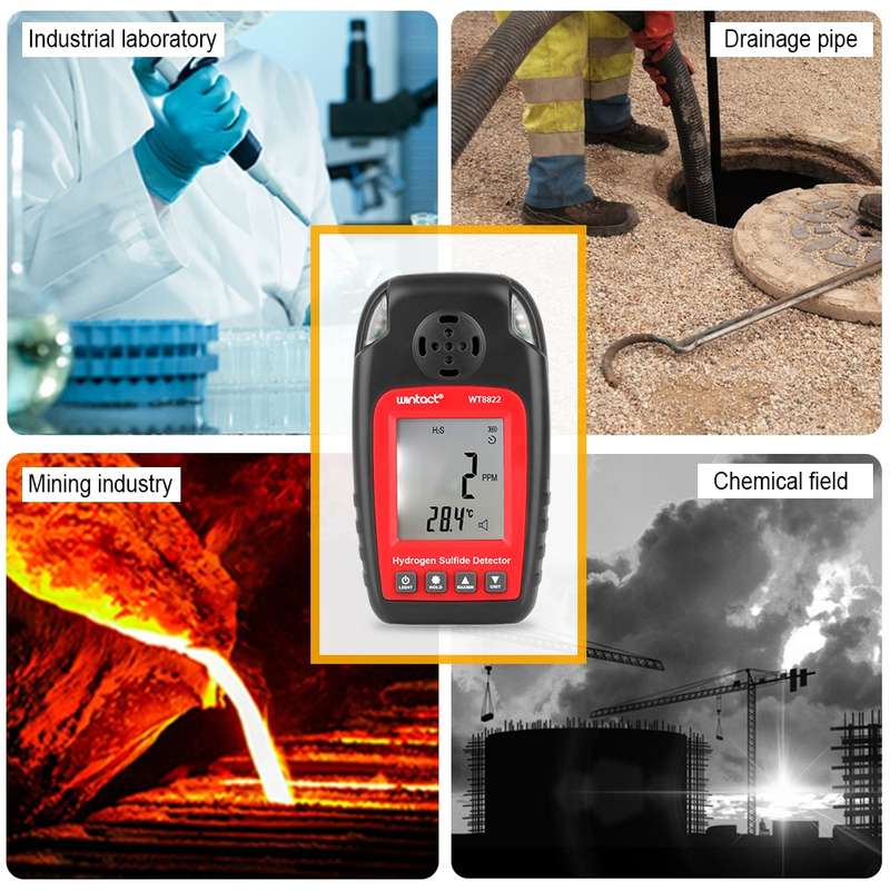 WINTACT WT8822 Hydrogen Sulfide Detector Independent H2S Gas Sensor Warning-up High Sensitive Poison
