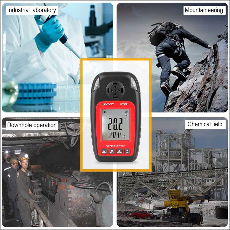 WINTACT WT8821 Oxygen Detector Independent Oxygen Gas Sensor Warning-up High Sensitive Poisoning Ala