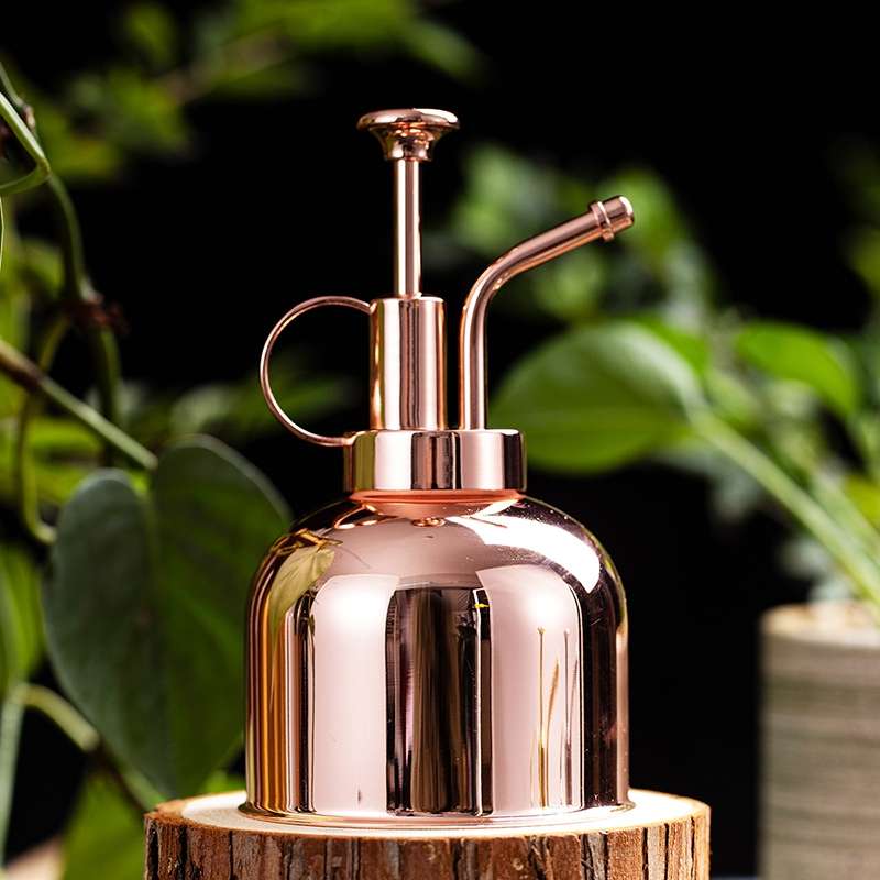 Vintage Brass Gardening Meaty Small Watering Can (Gold)