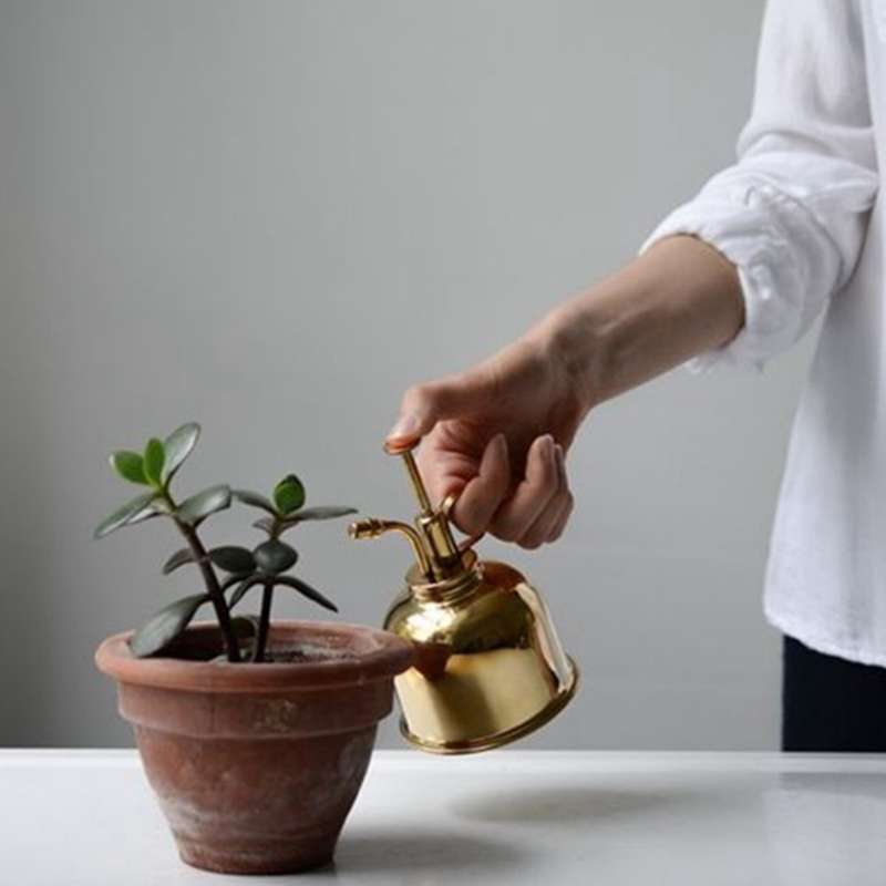 Vintage Brass Gardening Meaty Small Watering Can (Gold)