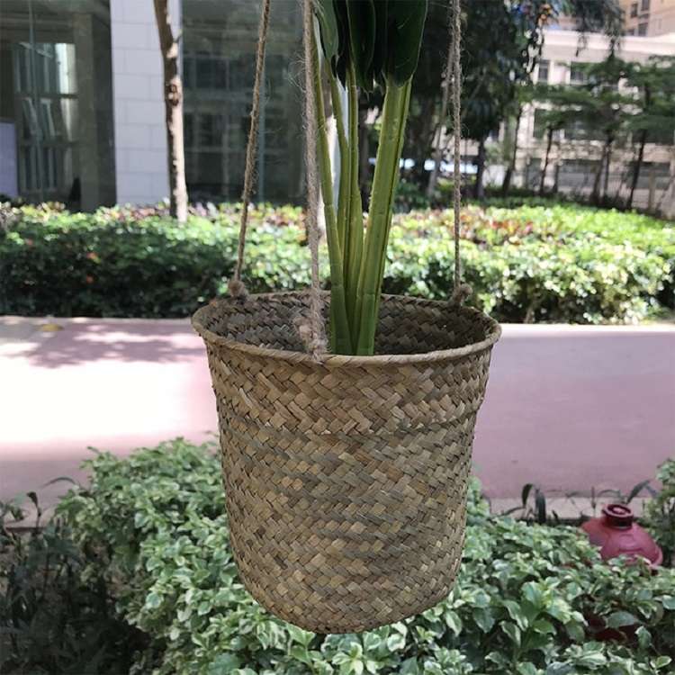 SDTGP5 Succulent Flower Basket Hanging Basket