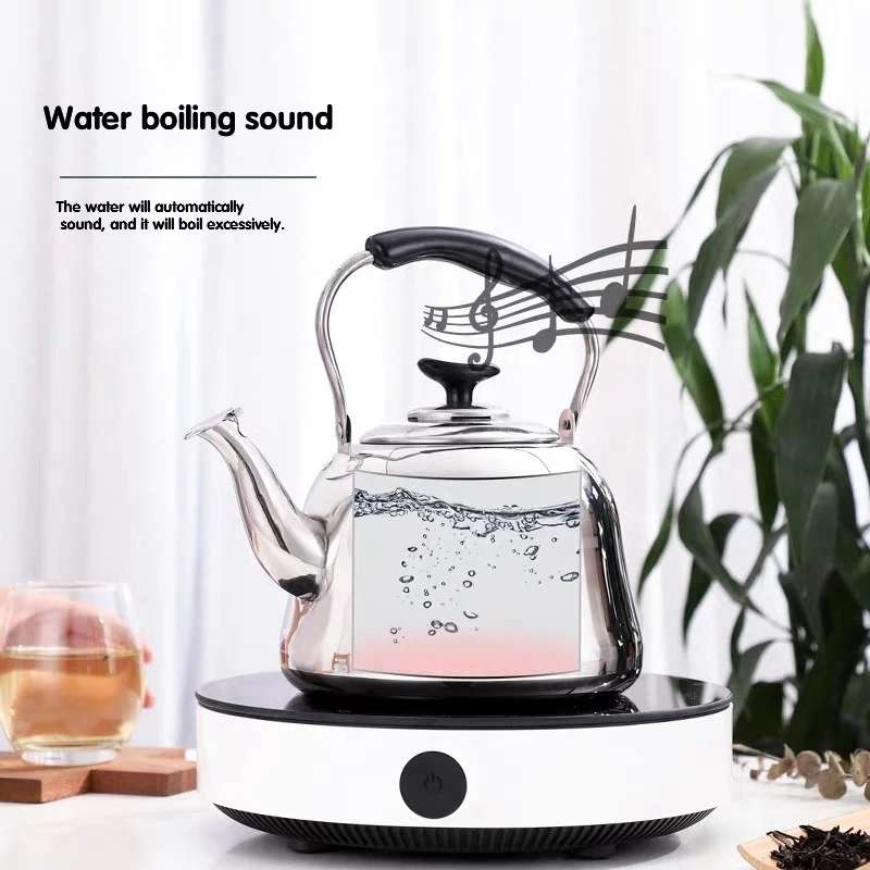 Stainless Steel Whistle Kettle for Induction Cooker Home Classical Piano Sound Singing Pot without M