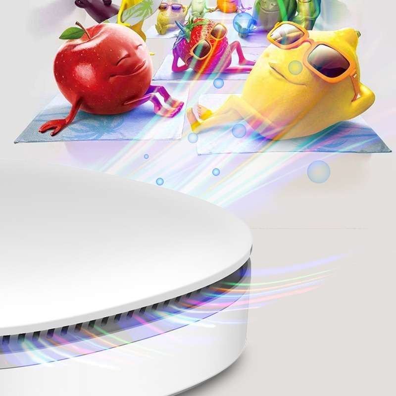 Ozone Sterilizer Household Refrigerator Disinfection Machine Wardrobe Shoe Cabinet Mask Car Steriliz