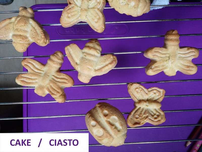 Insect Shape Cake Silicone Mold Baking Tools,Size: 26.5x20.5x3.5cm