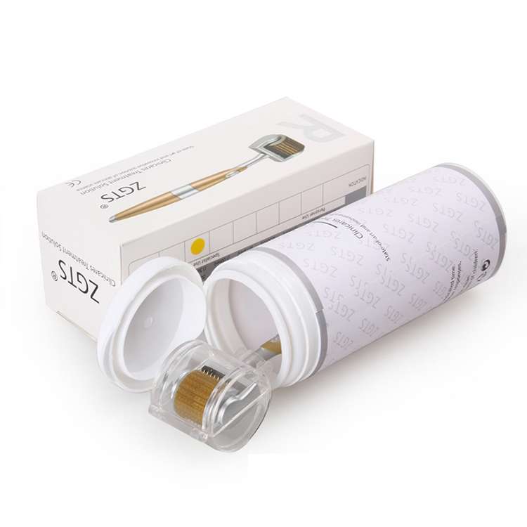 2 PCS ZGTS192 Titanium Alloy Microneedle Facial Repair Nano Roller Instrument, Specification:1.0MM