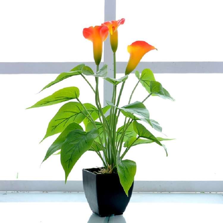Artificial Flower Calla Plant Potted Home Decoration Green Plant(White Green)