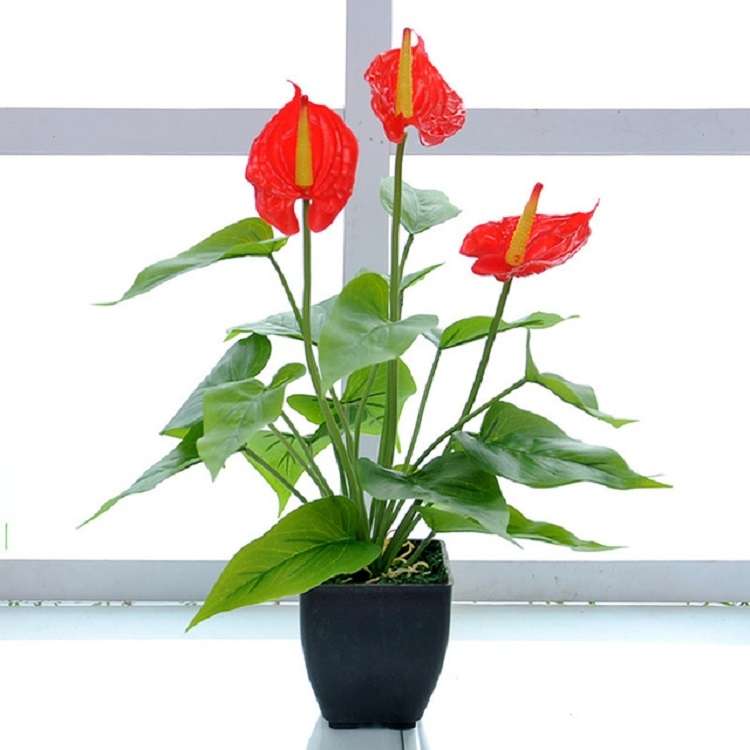Artificial Flower Calla Plant Potted Home Decoration Green Plant(White Green)