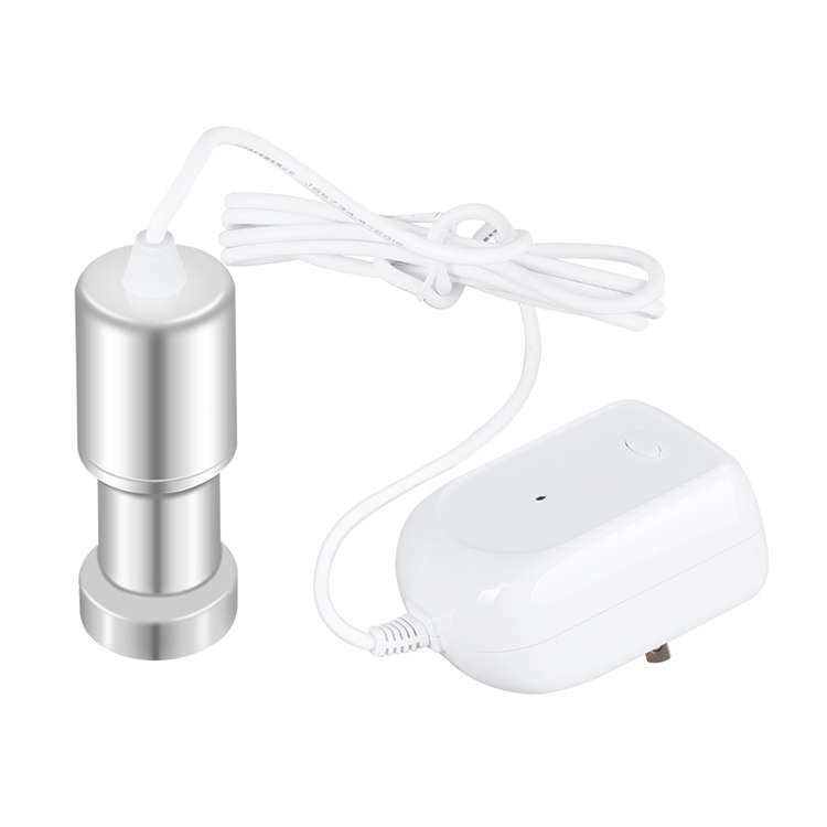 JeKen CE-9600 Household Ultrasonic Cleaner Vegetable Washing Glasses Watch Jewelry Cleaner(EU Plug)