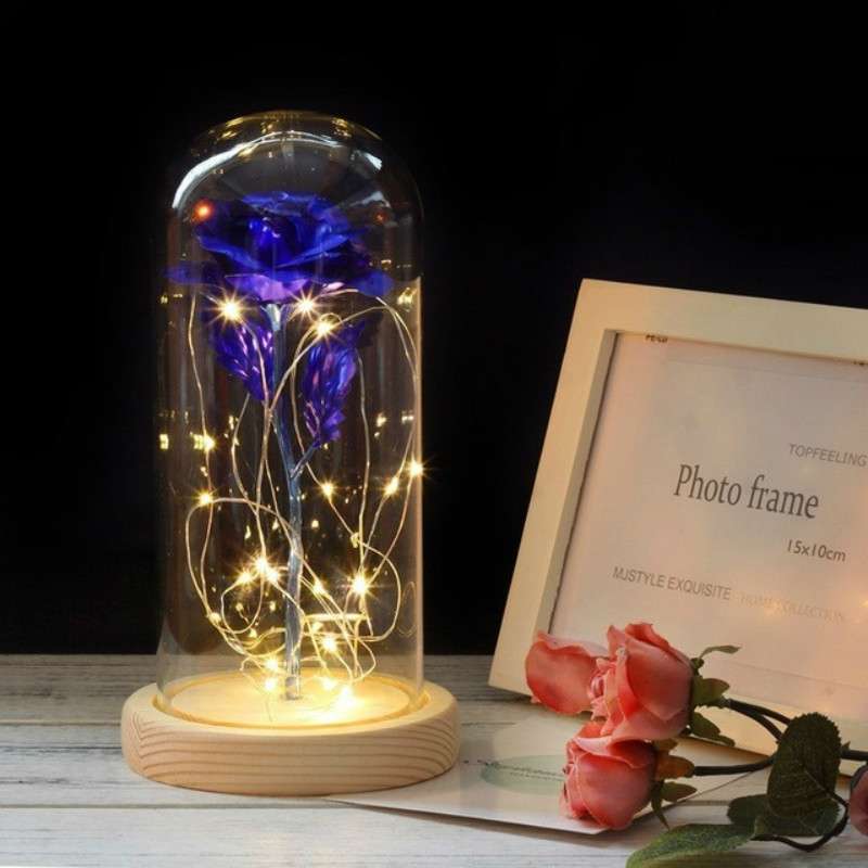 Simulation Roses Lights Glass Cover Decorations Crafts Valentines Day Gifts(Pink)