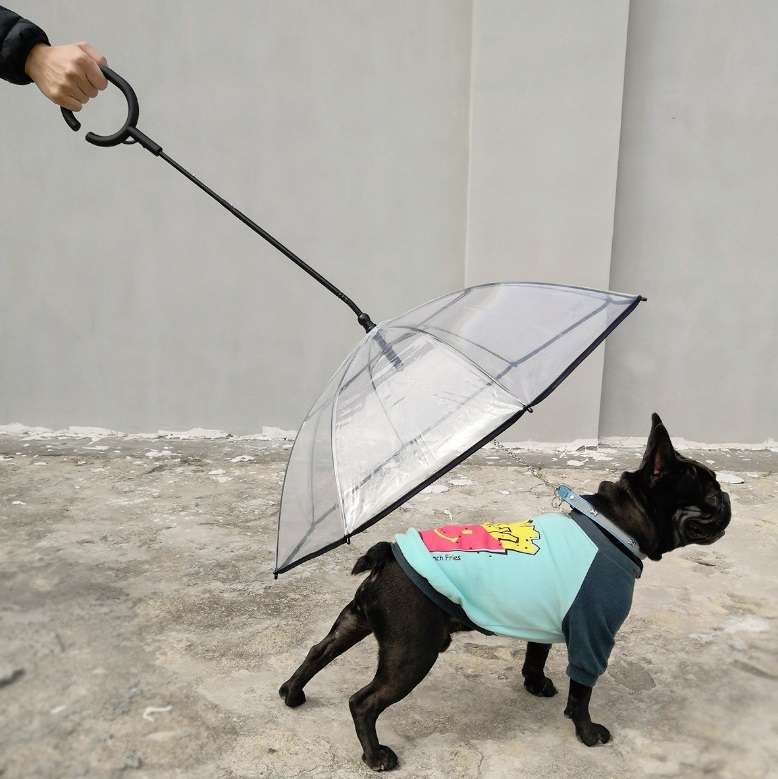 Pet Umbrella Transparent Adjustable Rainy Dog Walking Leash