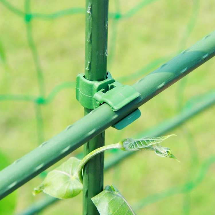 50 PCS Rotary Buckle Gardening Plastic Bracket Support Universal Tube Clamp Plastic Buckle, Size:11