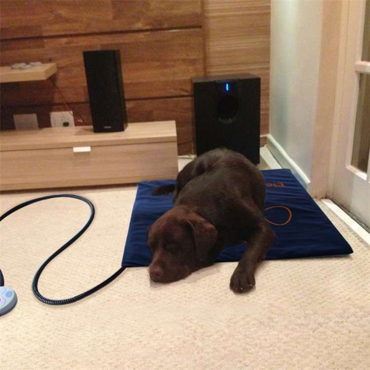 Pet Heating Pad Waterproof and Anti-Scratch Electric Blanket, Size: 60x45cm, Specification: JP Plug