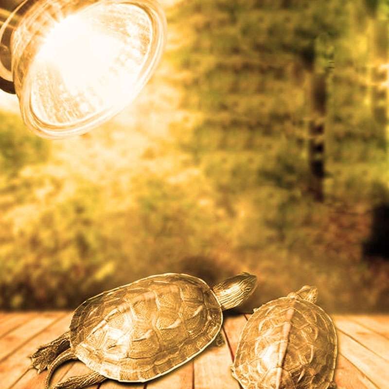 UVA+UVB Full Spectrum Solar Reptile Lamp Lizard Light Turtle Basking Lamp, Specification: 50W