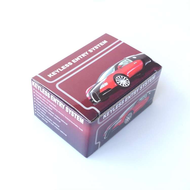 3pcs /Set Car Keyless Entry Remote Control Central Lock Straight Key Blade With Tail Box And Window