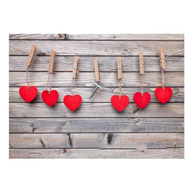 2.1m x 1.5m Valentines Day Personality Photo Photography Background Cloth(026)