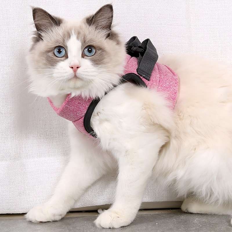 Cat Leash Pet Chest Harness Leash, Size: L(Grey)