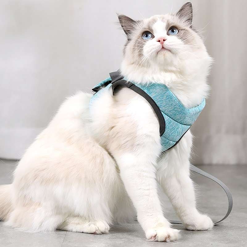 Cat Leash Pet Chest Harness Leash, Size: L(Grey)