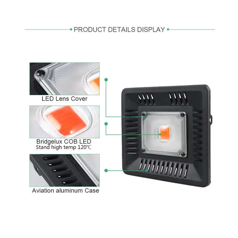 50W Ultra-Thin LED Plant Light, Full Spectrum COB Growth Light, Vegetable, Fruit & Flower Greenhouse
