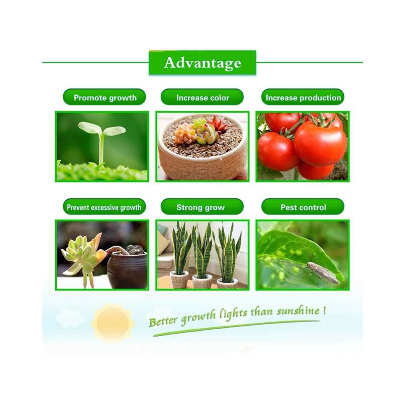 50W Ultra-Thin LED Plant Light, Full Spectrum COB Growth Light, Vegetable, Fruit & Flower Greenhouse