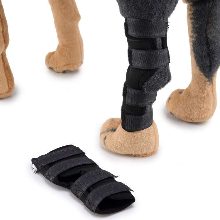 Pet Knee Pads Dog Leg Guards Pet Protective Gear Surgery Injury Sheath, Size: L(HJ29 Reflective With